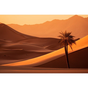 Desert painting Wall Art